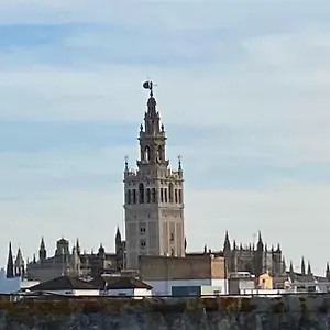  Appartement Atico Caleria Con Vistas A La Giralda Espagne